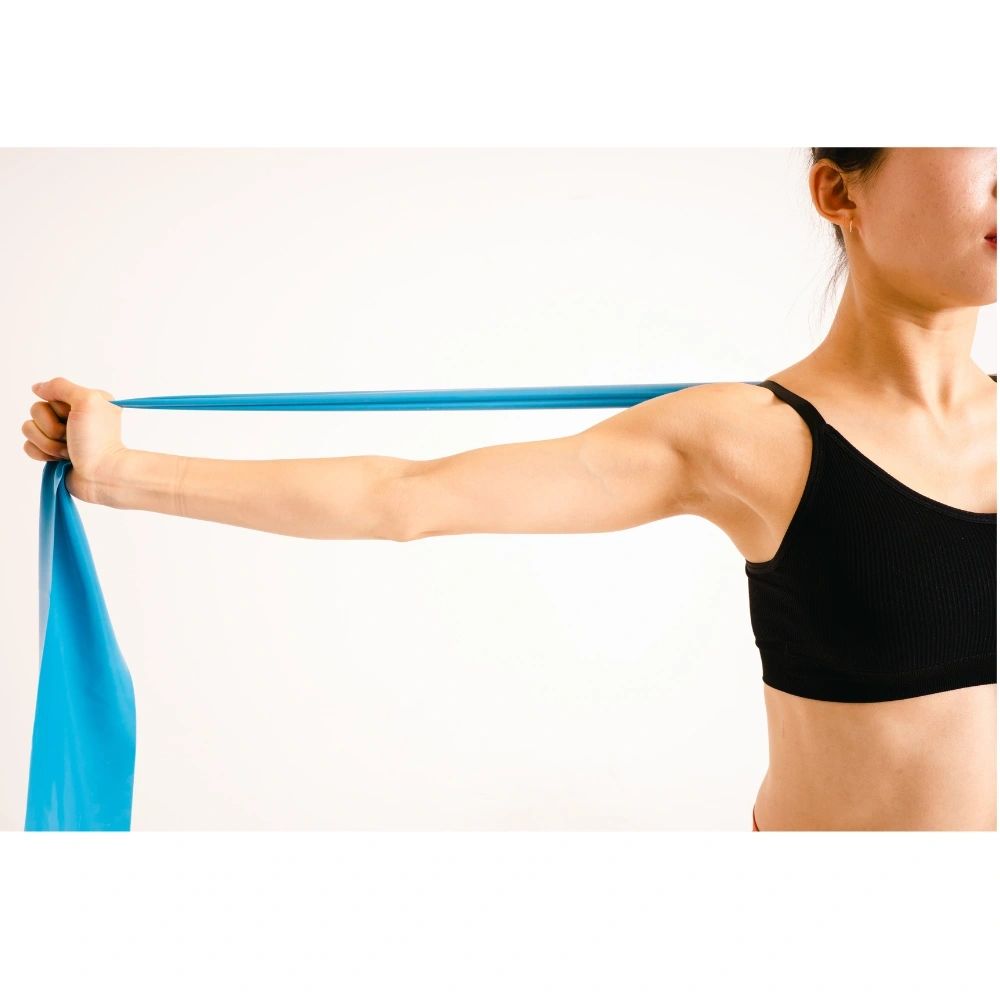 Rehabilitation exercises & circuits